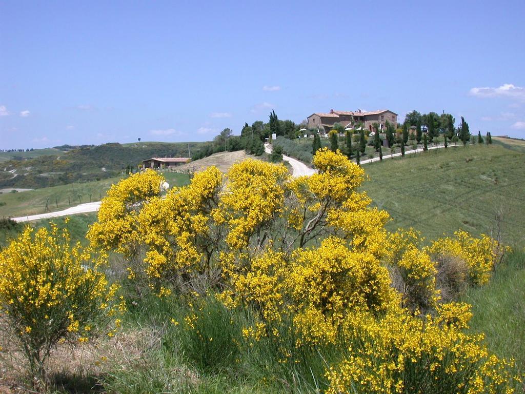 Agriturismo Palazzo Conti A П'єнца Екстер'єр фото